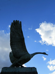 swan sculpture
