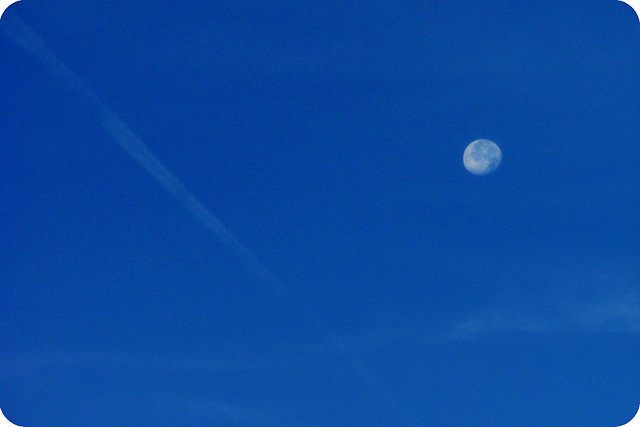 Morning Moon