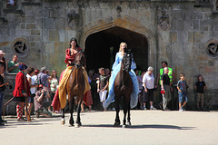 Ladies on Horses