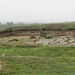 La nécropole ouest vue depuis les remparts.