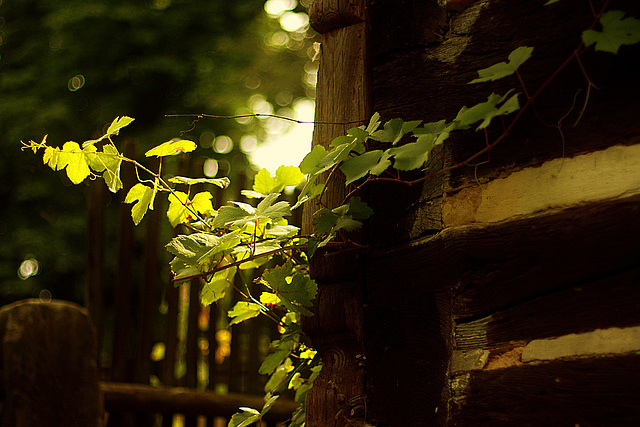 Light Behind A Corner