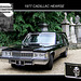 1977 Cadillac hearse - Nunhead Cemetery - 19.5.2007
