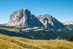 Langkofel und Plattkofel - 2010-07-31-_DSC2333