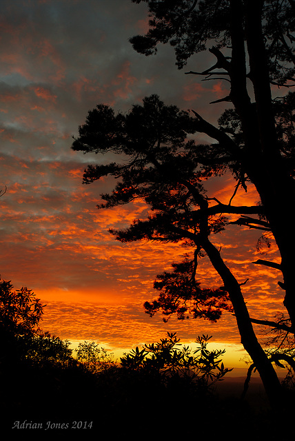 Nesscliffe Sunset