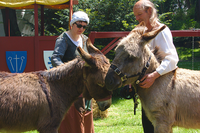 Fête Jeanne d'Arc 17-18.5.2014 Compiègne