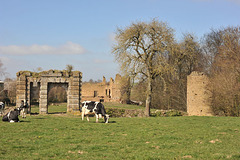 Vestiges du Château de Bois-Frou à Lassay-les-Châteaux