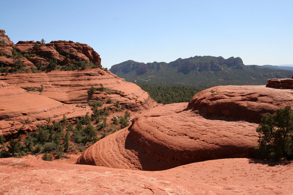 0501 150631 Coconino National Forest with Great Outdoors