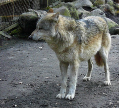 Tierpark Lüneburg