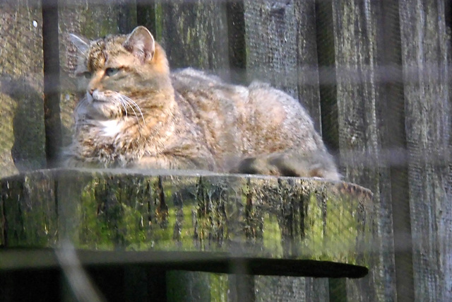 Tierpark Lüneburg