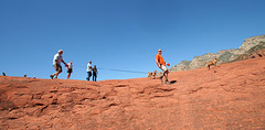 0501 143143 Coconino National Forest with Great Outdoors