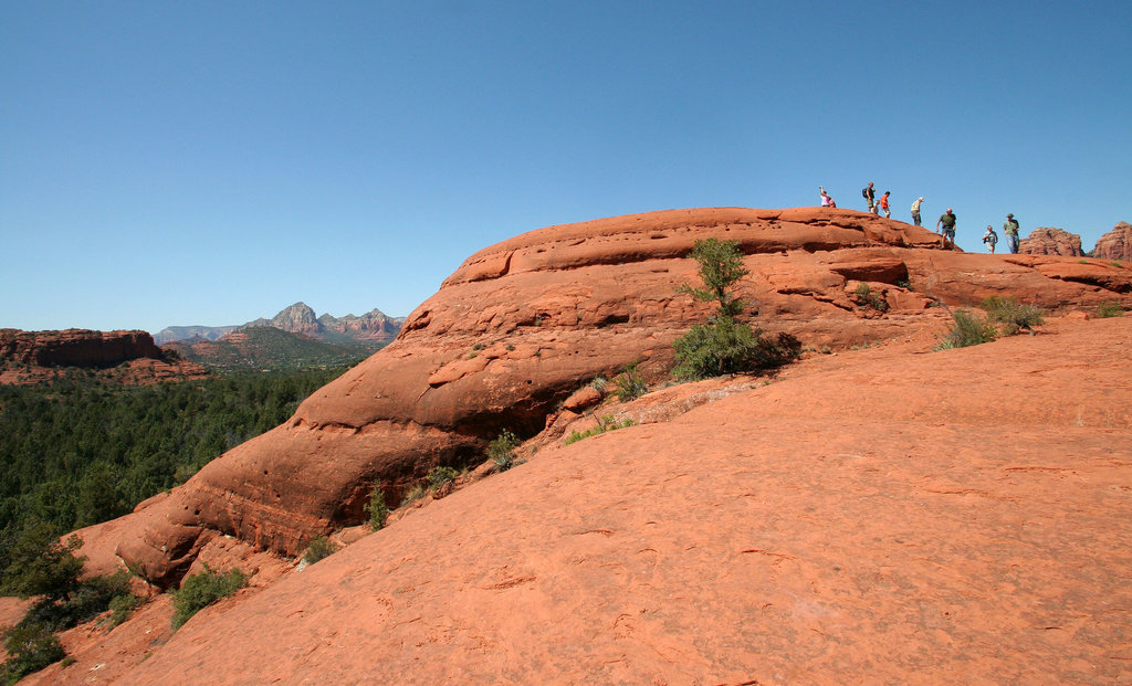 0501 142446 Coconino National Forest with Great Outdoors