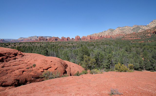 0501 142149 Coconino National Forest with Great Outdoors