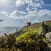 Coast at Start Point - 20140325