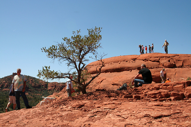 0501 141735 Coconino National Forest with Great Outdoors