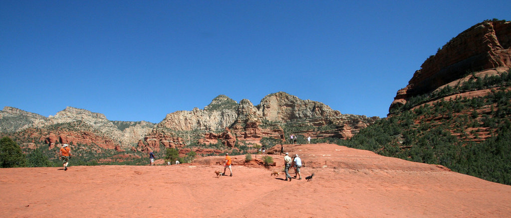 0501 140859 Coconino National Forest with Great Outdoors