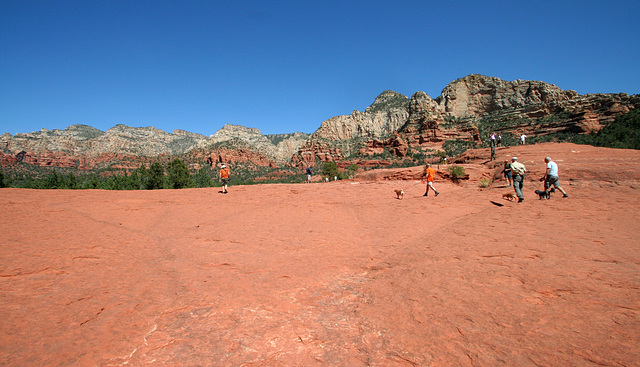 0501 140857 Coconino National Forest with Great Outdoors