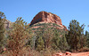 0501 140030 Coconino National Forest with Great Outdoors