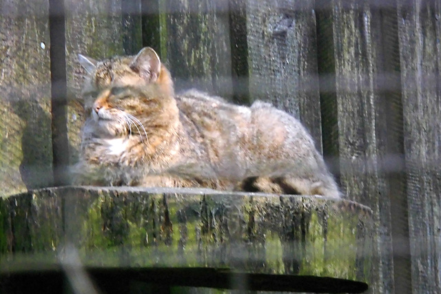 Tierpark Lüneburg