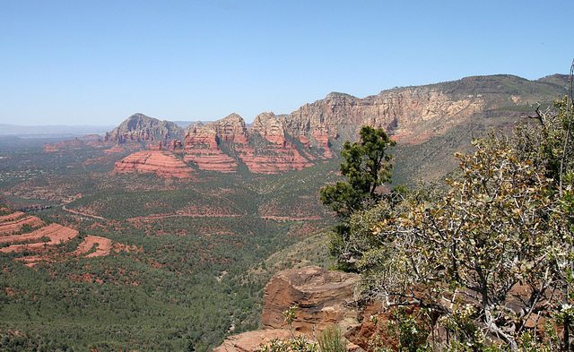 0501 114355 Coconino National Forest with Great Outdoors