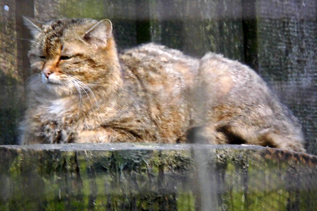 Tierpark Lüneburg