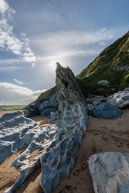 Beesands - 20140323