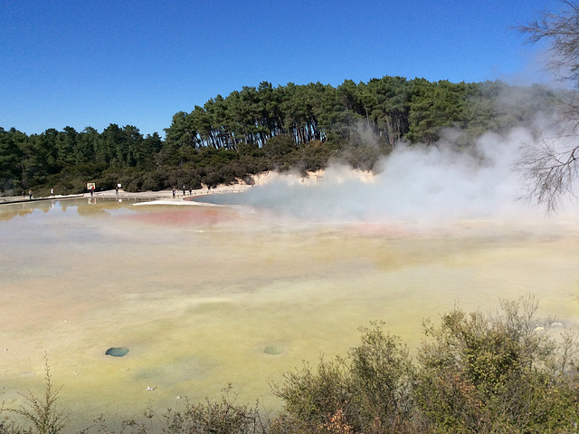 Champagne Pool