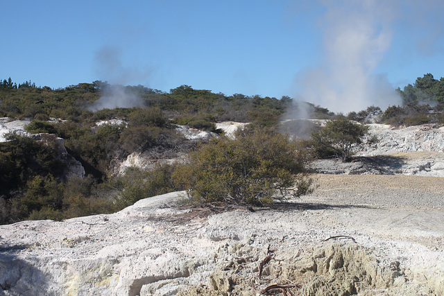 Steaming Craters