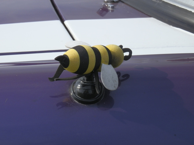 aaacsmay42014 (1060)