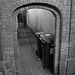 Bins hiding in an alley