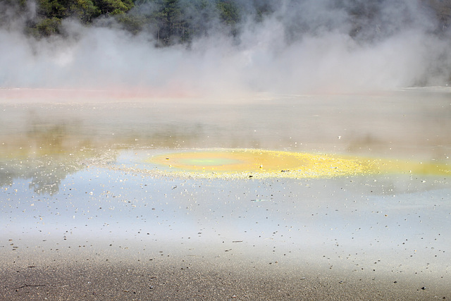 Champagne Pool