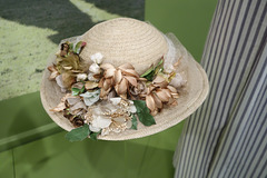 Downton 059 Downton 059