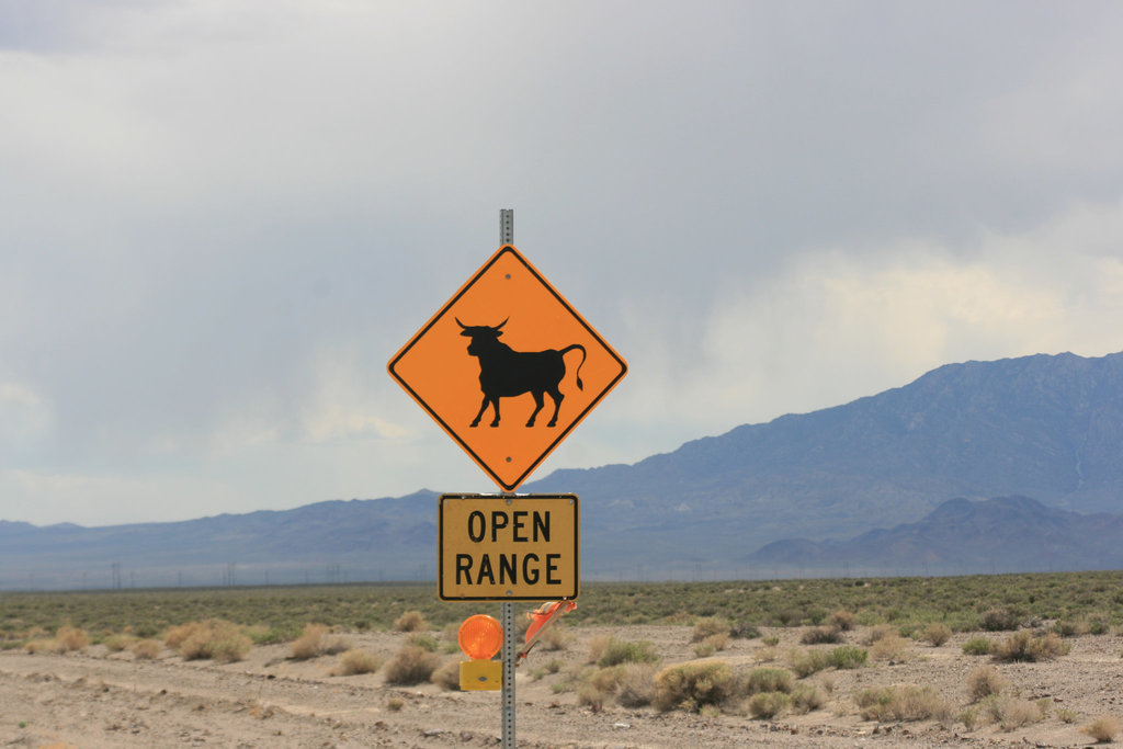 Open Range!