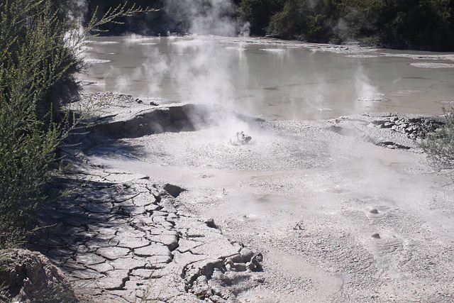 Bubbling Mud Pool