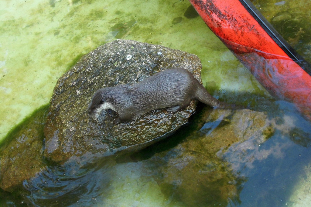 Tierpark Lüneburg