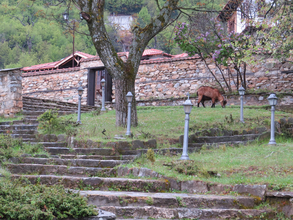 Sv. Pantelejmon : jardin en terrasse.