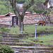 Sv. Pantelejmon : jardin en terrasse.