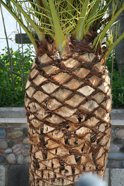 Santa Catarina
