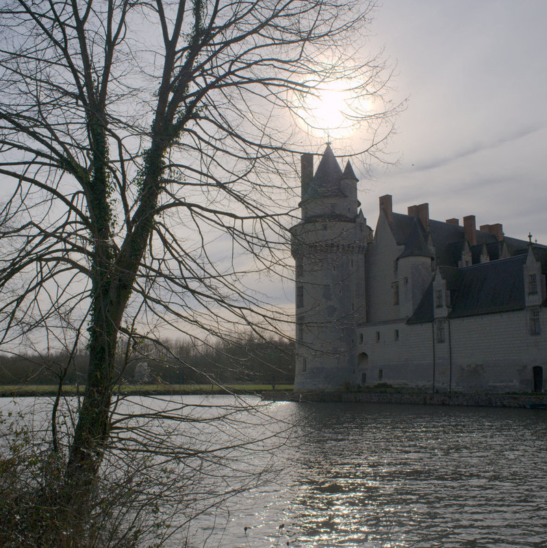 Château du Plessis-Bourré