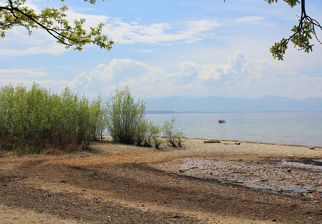 Bodensee-Landschaft