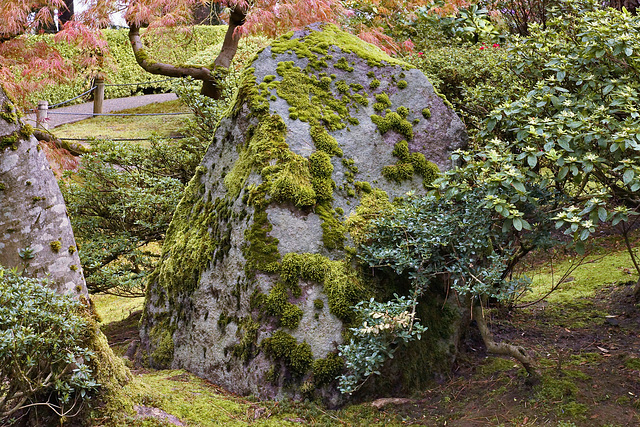 Collecting Moss – Japanese Garden, Portland, Oregon