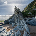 Beesands - 20140323