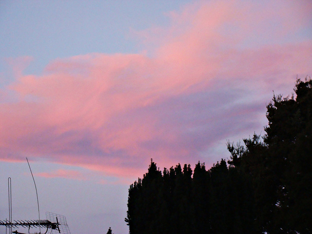 Sihouettes At Sundown