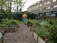 Community garden