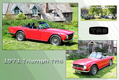 1971 Triumph TR6 - Bishopstone Village Fete - 3.5.2014