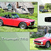 1971 Triumph TR6 - Bishopstone Village Fete - 3.5.2014
