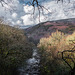 Blick zum Dartmoor - 20140327