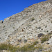 Limestone and barrel cactus