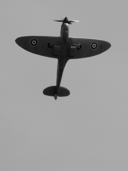 aaacsmay42014 (1271)