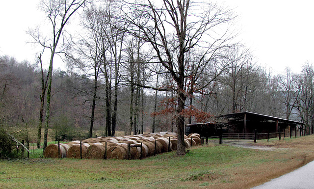 Hay Bales and Barn