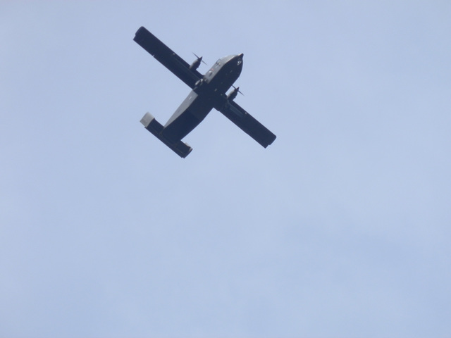 aaacsmay42014 (1296)